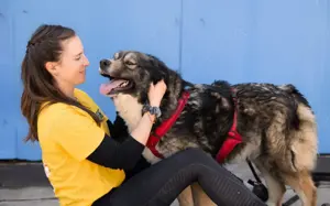 Sabine - offen, fröhlich und wunderhübsch. Adopt. Don t shop.