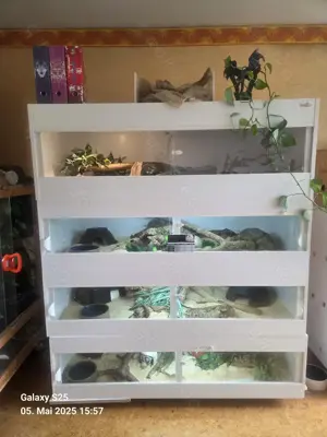 4 Terrarien aus Kunststoff 