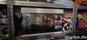 Aquarium  125 Liter  Bild 2