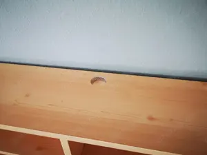 TV-Board vom Schreiner   Massivholz   durchdacht, edel & vielseitig Bild 4