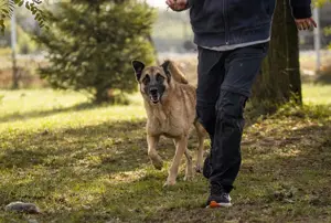 *TARIK* freundlich, offen., menschenbezogen, aktiv und unternehmungslustig