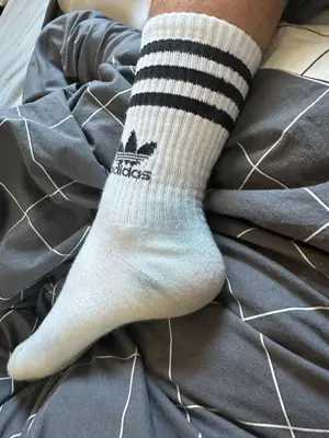 Getragene Adidas Socken von einem Gay Boy für Gays Bild 3