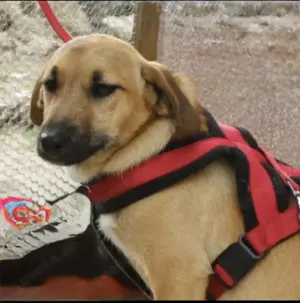 Maddy ein tolles Mädchen 