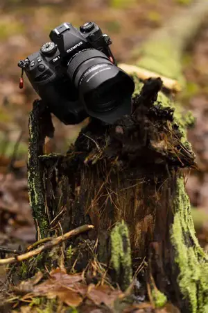 Suche einen Fotograf in ( auch Hobby) .........