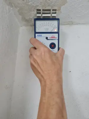 Gutachter prüft Ursache zu Schimmel in der Wohnung