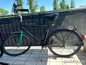 Herren Fahrrad Zoll 28