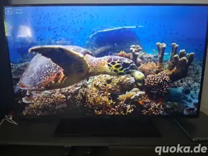Panasonic Smart TV 43 Zoll 108 cm 4k LED 
