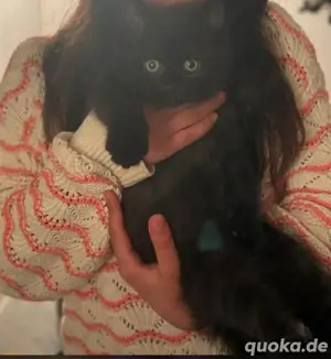 Bkh EkhKitten  