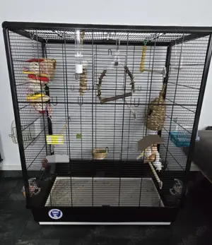 Kanarienvogel mit Käfig und Zubehör
