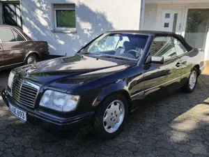 Mercedes-Benz 220 E220 Sportline Bild 3