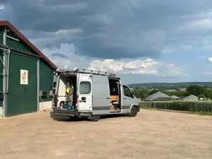 Hyundai H 350 H350 Cargo L3H2 EU6 S