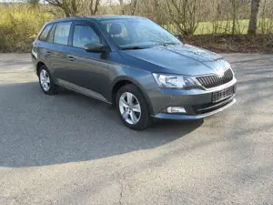 Skoda Fabia Combi 1.2 TSI DSG; Sitzheizung; AHK