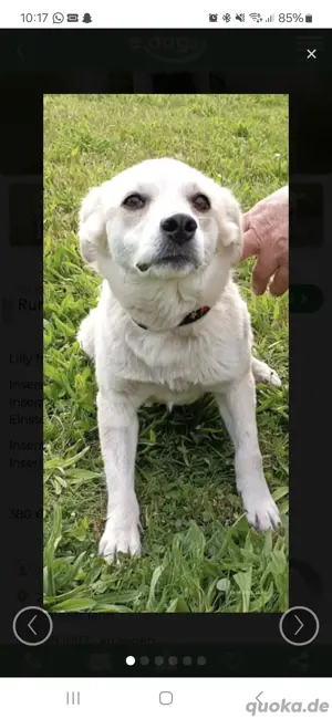 Lilly freut sich auf  deinen Besuch 