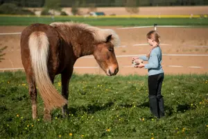 Pferdekurse für Kinder  Bild 4