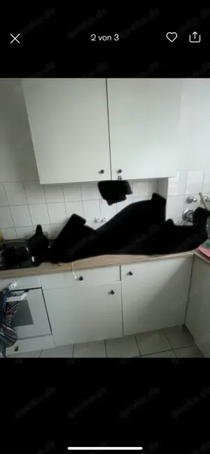 Knoxhult Ikea Küche top Zustand  Bild 2