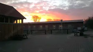 hr Pferdeparadies in Münster! Bild 3