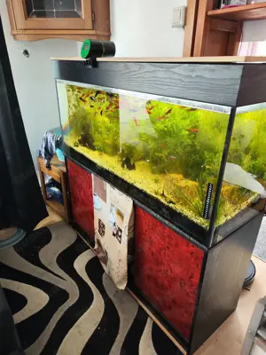 Aquarium Komplett mit Schrank und Zubehör und Fische