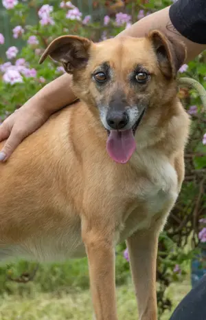 Sunny, eine selbstbewusste Dame! Bild 6