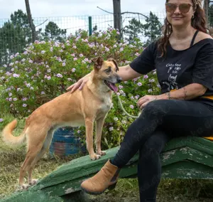 Sunny, eine selbstbewusste Dame! Bild 5