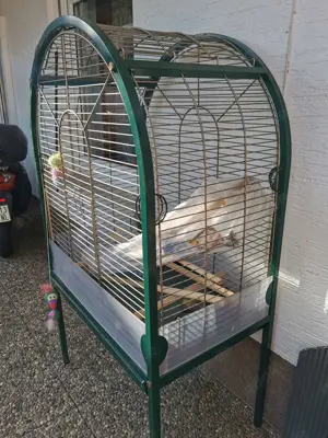 Großer Vogelkäfig im Auftrag zu verkaufen.