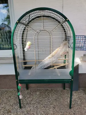 Großer Vogelkäfig zu verkaufen