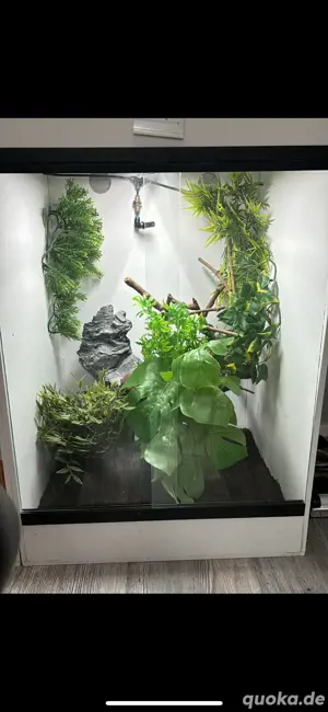 kunstoff terarium 