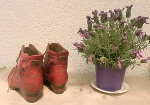Damen Stiefeletten - Mustang - NEUWERTIG Gr. 41 Bild 4