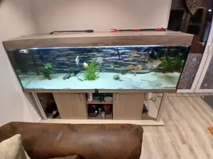 Aquarium 200x60x60 zu verkaufen 