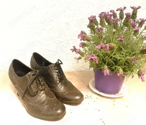 Damenschuhe   Halbschuhe   Schnürschuhe von Graceland - Gr. 40