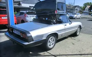 Alfa Romeo Spider Bild 3