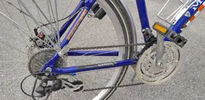 Fahrrad 28 Zoll    McKenzie   24 Gang   Fahrrad für Erwachsene Bild 10