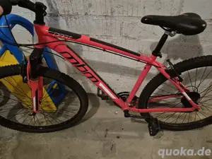 herren MTB