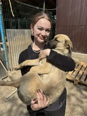 Lady - liebevoll & sanft Bild 2