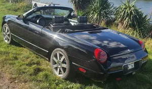 Ford Thunderbird V8-Cabriolet Special-Edition-1. Hand 36500 km Bild 2