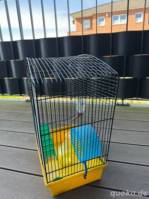 Hamste Mäuse Käfig mit Zubehör