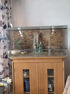 Terrarium mit Zubehör zu verschenken