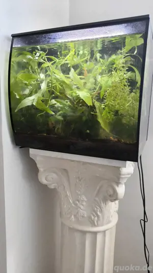 Würfelaquarium 