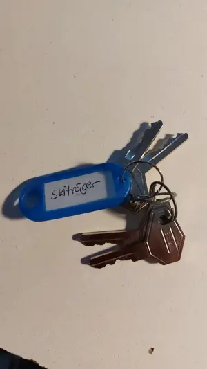 Ski Träger Pkw mit Regenrinne