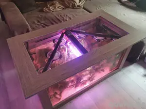 Axolotl Wohnzimmertisch als Aquarium      Bild 3