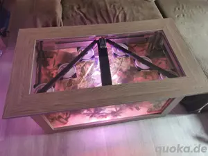 Axolotl Wohnzimmertisch als Aquarium      Bild 2