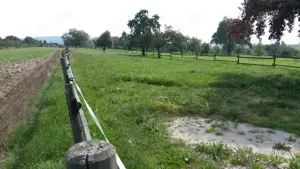 Offenstall