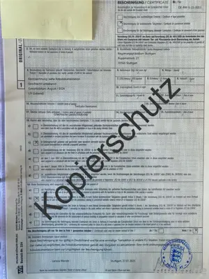 Griechische Landschildkröten - Nachzuchten aus 2024 Bild 6