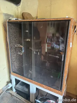 Terrarium komplett