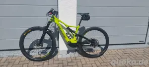 Specialized levo
