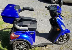 Rolektro E-Trike 25