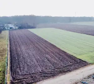 Schönes Grundstück in Bootzheim (Elsass)   Natur, Ruhe & Nähe zur Grenze!