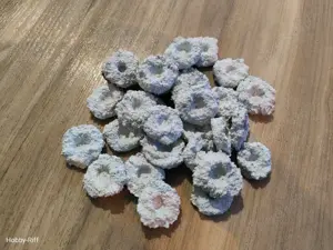 30 Ablegersteine Reefplugs für Meerwasser SPS