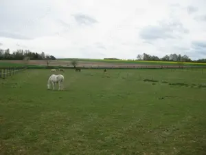 Offenstall   Einstellplatz f. braven Barhuf-Wallach frei (gegen Mithilfe) Bild 3