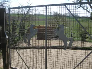 Offenstall   Einstellplatz f. braven Barhuf-Wallach frei (gegen Mithilfe) Bild 6