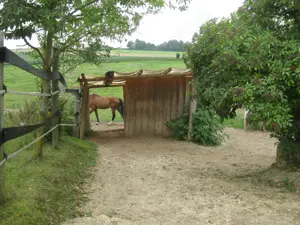 Offenstall   Einstellplatz f. braven Barhuf-Wallach frei (gegen Mithilfe) Bild 4